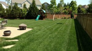 Lawn Care Tips for Repairing Winter Damage