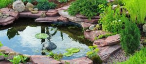 Backyard Water Feature Options for Your Next Landscape Design Project