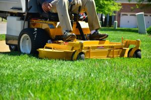 What Home Lawn Maintenance Services Do I Need?