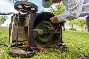 Spring Lawn Maintenance Musts to Prepare for the Year