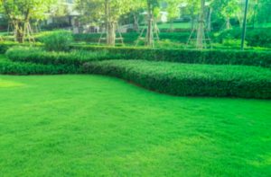 Creating A Unique Landscape Design In Raleigh