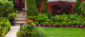Landscaping Ideas for Your Front Yard in Raleigh