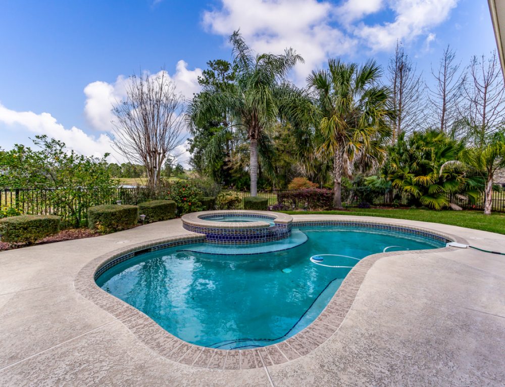 Top 4 Best North Carolina Native Plants for Landscaping