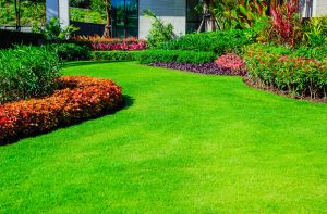 Lawn Care Checklist for North Carolina