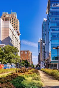 How to Find a Landscape Architect in Raleigh, NC