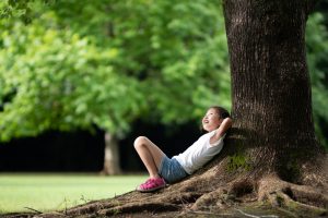 5 Plants That Grow in Shade