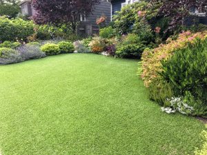 How JT’s Can Help Improve Your Yard this Summer