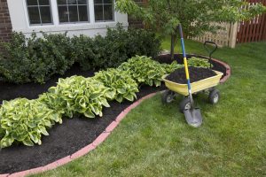 7 Benefits of Mulching Your Yard or Business