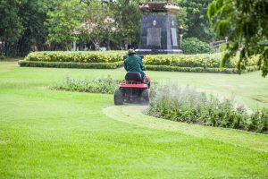 Choosing the Perfect Residential Landscaping Contractor